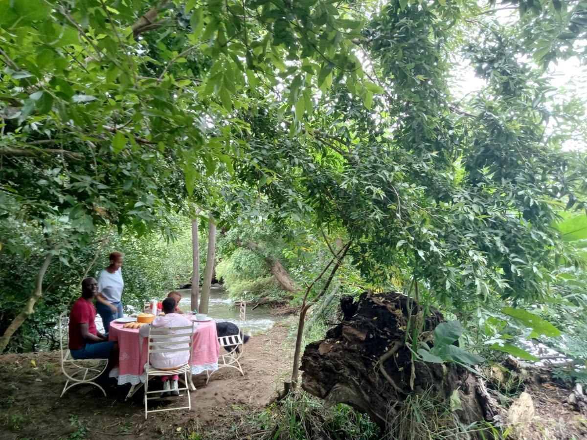 Shalom Place Of Peace Vasfontein Eksteriør billede